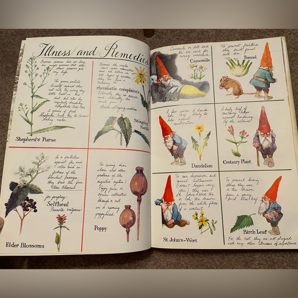 Gnomes 1976 Vintage Children’s Book Rien Huygen - Picture 15 of 15